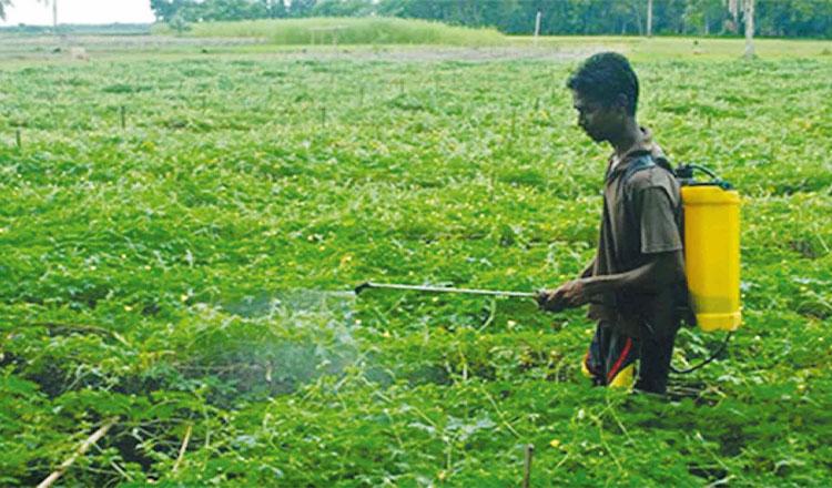 দেশেই উৎপাদন হবে বালাইনাশক