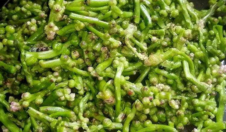 পুষ্টিতে সেরা রঙিন ‘পুঁইফল’