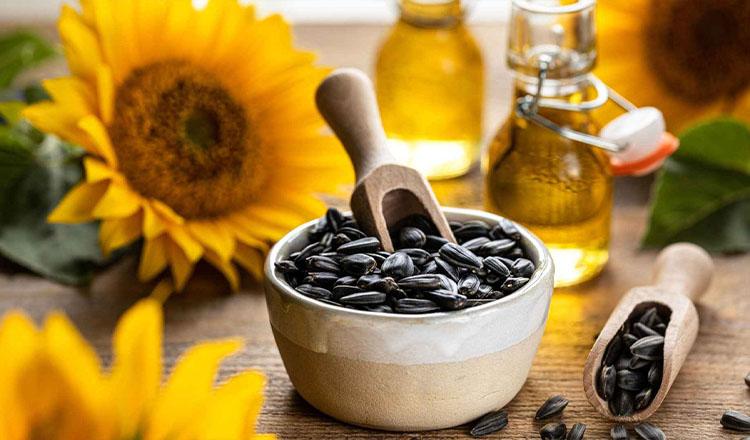 উজ্জ্বল ত্বক ও সুস্থ চুলের জন্য ‘সূর্যমুখীর বীজ’