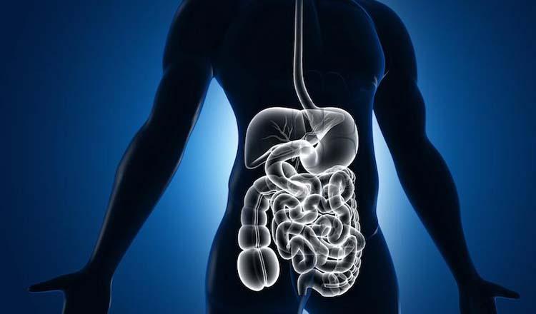 হজম শক্তি বৃদ্ধির ১০ উপায়