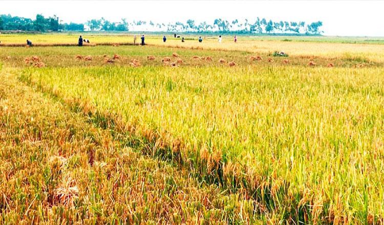 ‘বাবা-মেয়ের মোহনীয় ক্ষণ’