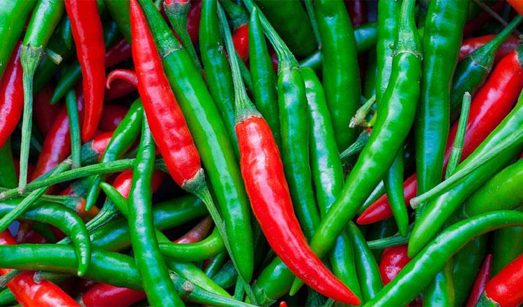 ঝাঁঝেও যেমন গুণেও তেমন, পুষ্টিভরা ‘কাঁচা মরিচ’