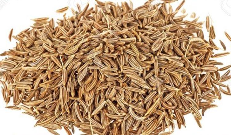 সুগন্ধি মসলা জিরা, পুষ্টিগুণেও সেরা