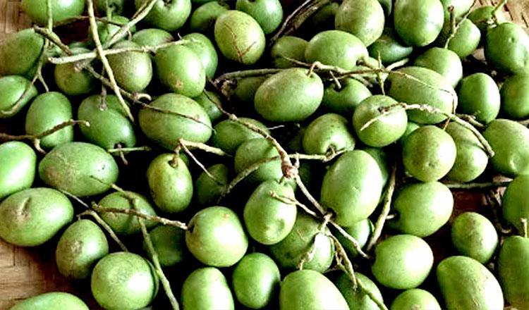 জলপাই কেন খাবেন, কী আছে উপকার