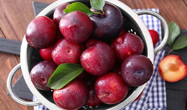 ওজন কমায় রুচি বাড়ায় রসালো ‘আলুবোখারা’