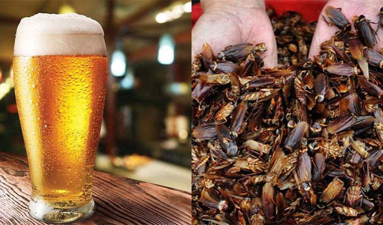 ছুটির দিনে যে পানীয় জাপানিদের সেরা পছন্দ!