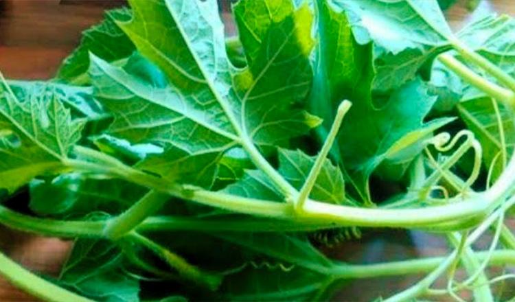 দেহের তাপমাত্রা ও হিমোগ্লোবিন ঠিক রাখে ‘লাউ শাক’