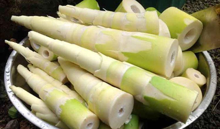 পুষ্টিতে অনন্য ‘কচি বাঁশের কোড়ল’