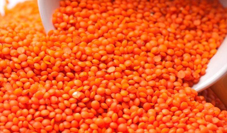 গরীবের মাংস মসুর ডালের পুষ্টিগুণ