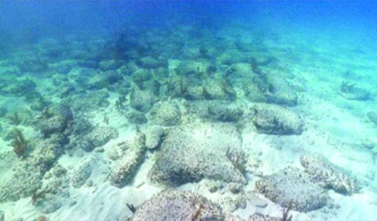 সমুদ্রতলের মজার তথ্য