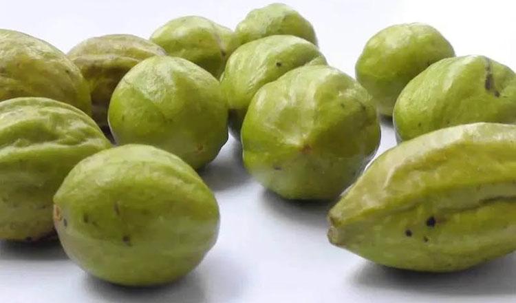 সব রোগ হরণে সেরা হরিতকি