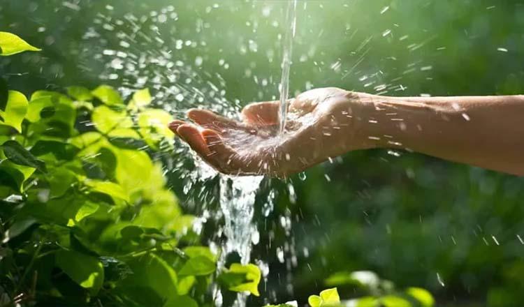 বৃষ্টির পানি: গুণে ভরা প্রকৃতির সেরা উপাদান