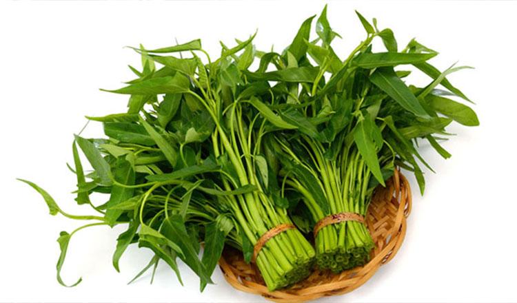 পুষ্টিগুণে সেরাদের সেরা কলমি শাক