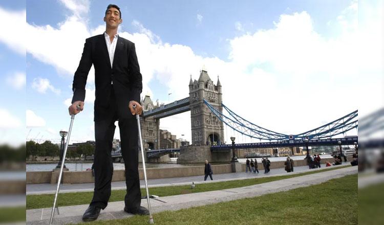 অতিকায় জীবন্ত মানবের জানা অজানা