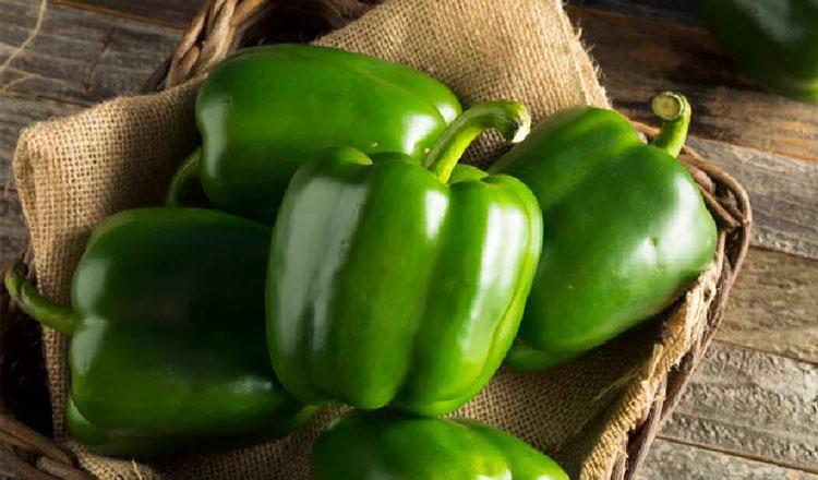 পুষ্টি ভরা মিষ্টি মরিচ ‘ক্যাপসিকাম’