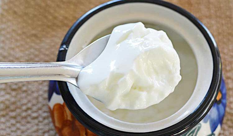 টক দইয়ের উপকারিতা