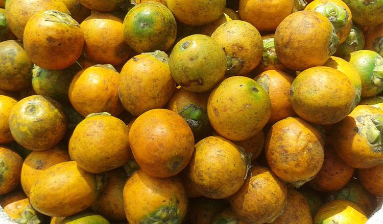 সুপারি খাওয়ার লাভ-ক্ষতি