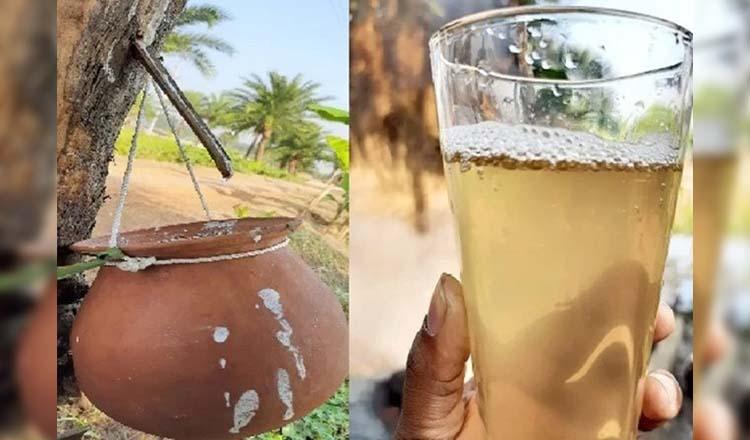 প্রাকৃতিক এনার্জি ড্রিংক ‘খেজুরের রস’