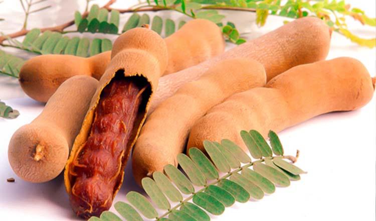 কাঁচা পাকা তেঁতুলের পুষ্টিগুণ