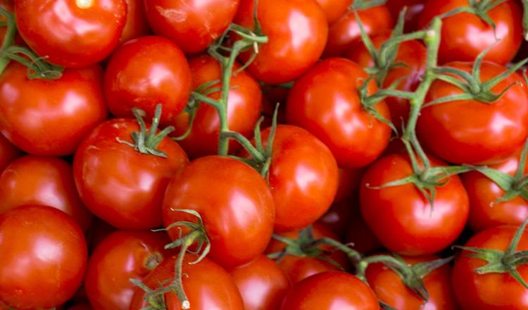 টমেটোর উপকারিতা ও পুষ্টিগুণ