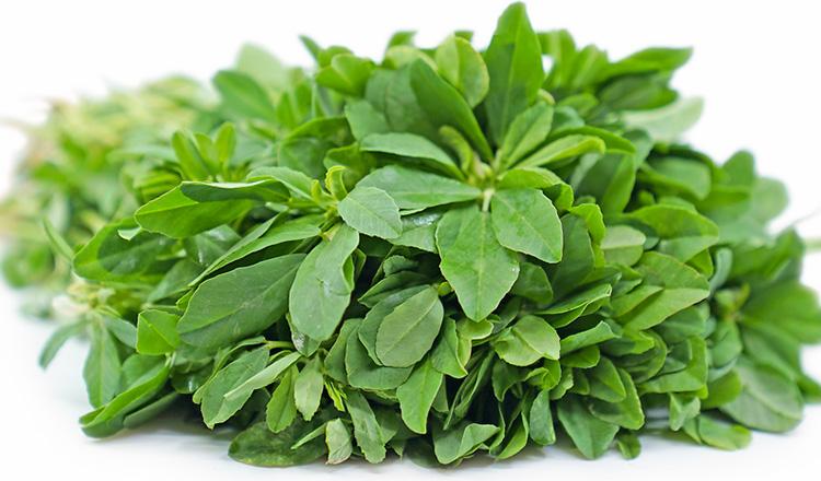 ডায়াবেটিস-কোষ্ঠকাঠিন্য দূরে রাখে ‘মেথি শাক’