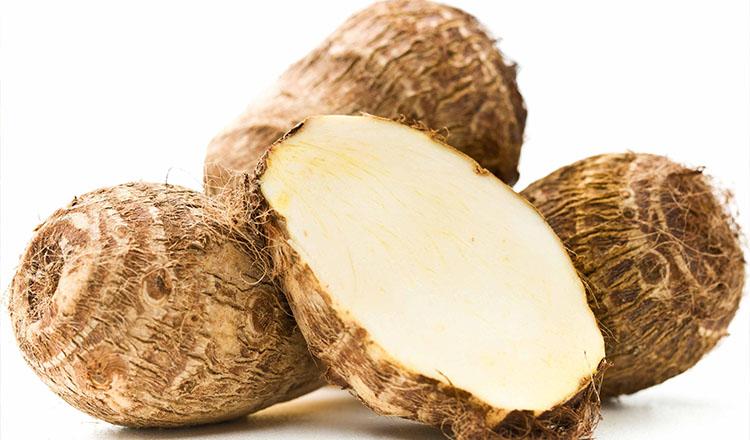 ক্যান্সার ডায়াবেটিস নিয়ন্ত্রণে রাখে ‘মুখী কচু’