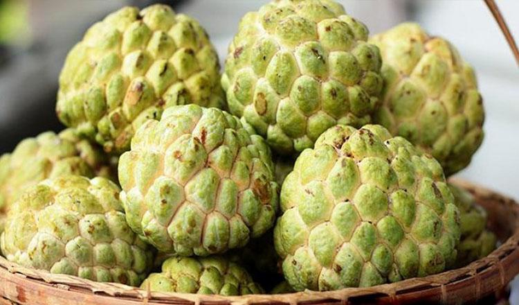 অজানা পুষ্টিগুণে ফলের সেরা ‘আতা’