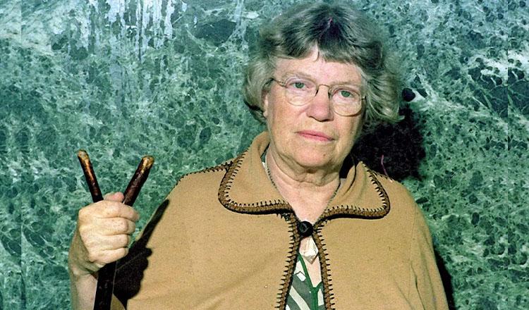 ‘পরিবেশ ধ্বংস করে আমরা সুস্থ সমাজ আশা করতে পারি না’