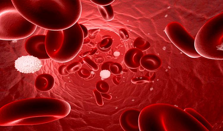 ব্লাড ক্যান্সারের কোষ ধ্বংস করবে বাংলাদেশি গবেষকের ওষুধ