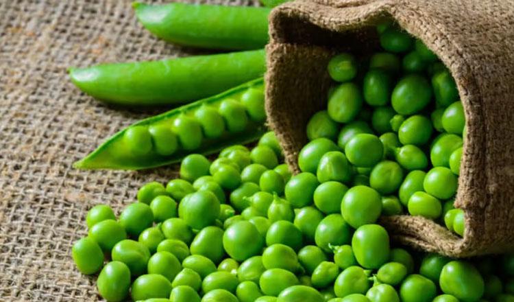 মাংসের পুষ্টিতে ভরপুর মটরশুঁটি