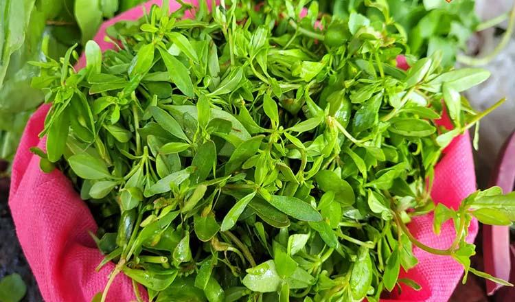 রুচি বাড়ায় পাকস্থলি ভালো রাখে ‘গিমা শাক’