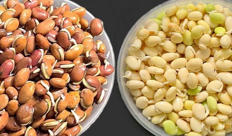 মাছ-মাংসের চেয়েও সেরা ‘শিমের বিচি’