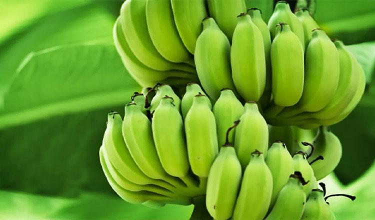 কাঁচকলার পাক্কা গুণাগুণ