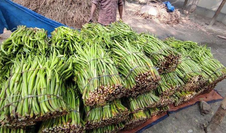 কচুর লতি : খেলেই লাভ, নেই ক্ষতি