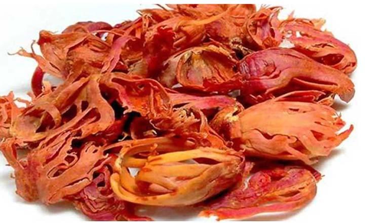 যৌবন ধরে রাখে গুণবতী ‘জয়ত্রী’