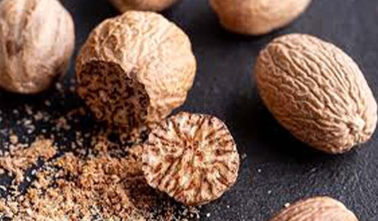 মশলার স্বাদ ও ভেষজগুণে অনন্য ‘জয়ফল’