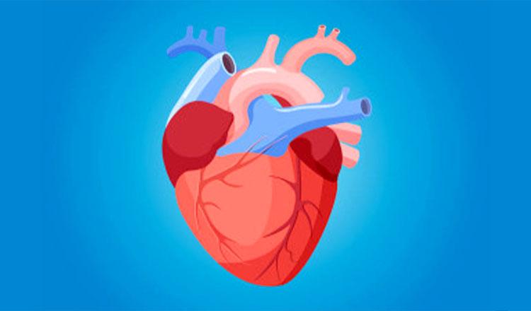 দেশে প্রথমবারের মতো মানবদেহে ‘মেকানিক্যাল হার্ট’ প্রতিস্থাপন