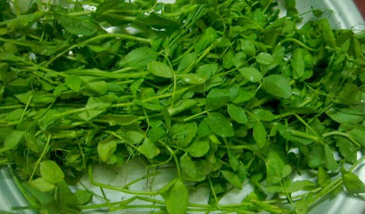 ওজন কমায় হজম বাড়ায় ‘মটর শাক’