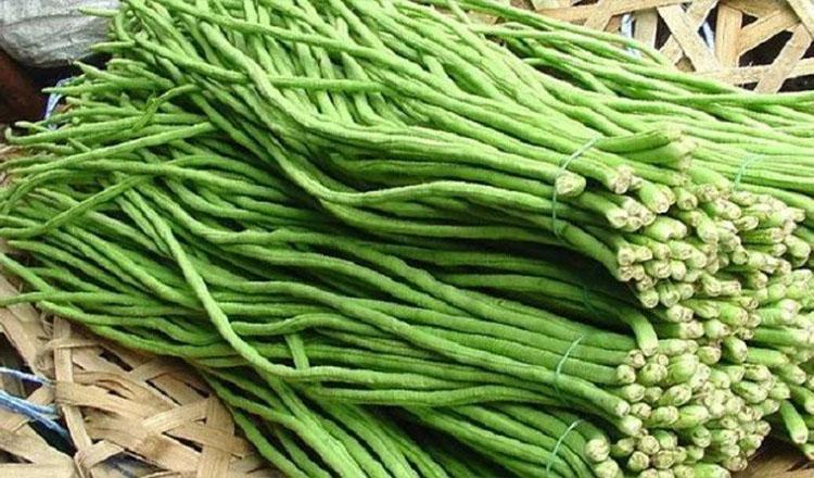 সেদ্ধ কাঁচা তরকারি, বরবটি খুব দরকারি