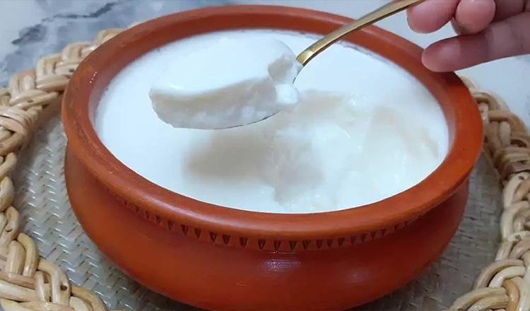 টক দইয়ের চটকদার ব্যবহার