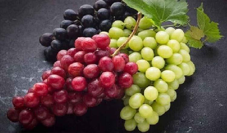 রসে-গুণে টইটম্বুর ফল ‘আঙুর’