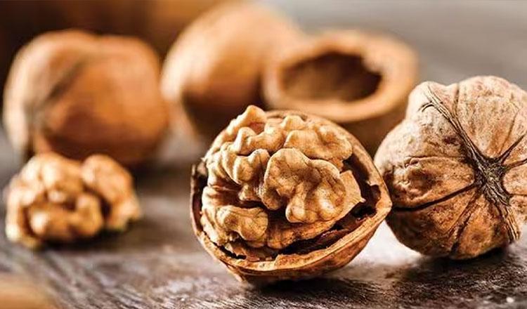 পুষ্টিগুণে ভরা দানা ‘আখরোট’