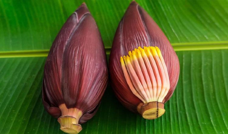 পুষ্টিতে ভরপুর কলার মোচা