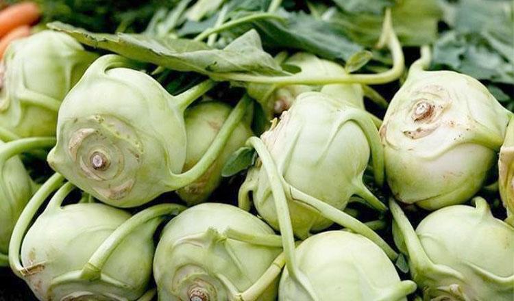 রোগ নিরাময়ে অনন্য ‘শালগম’