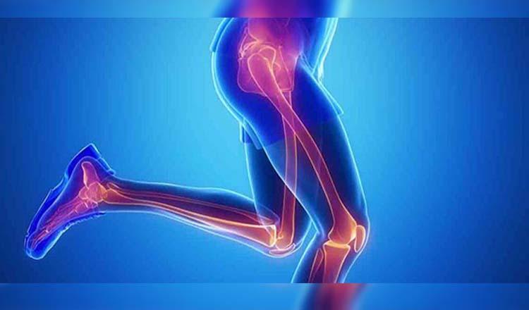 হাড় ভালো রাখবে পাঁচ খাবার