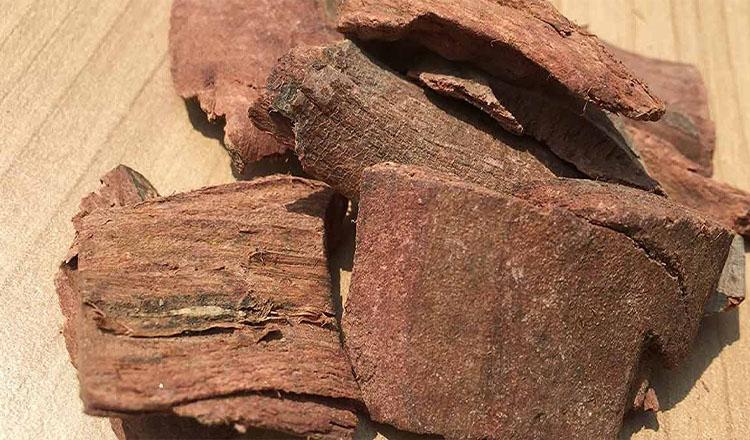 রোগ নিরাময়ে প্রকৃতির সেরা উপাদান অর্জুনের ছাল