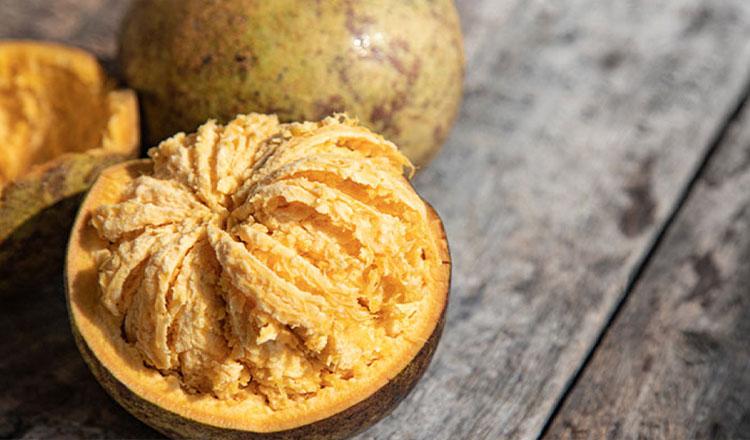 ওষুধিগুণে ভরা বেল পুষ্টিতেও সেরা