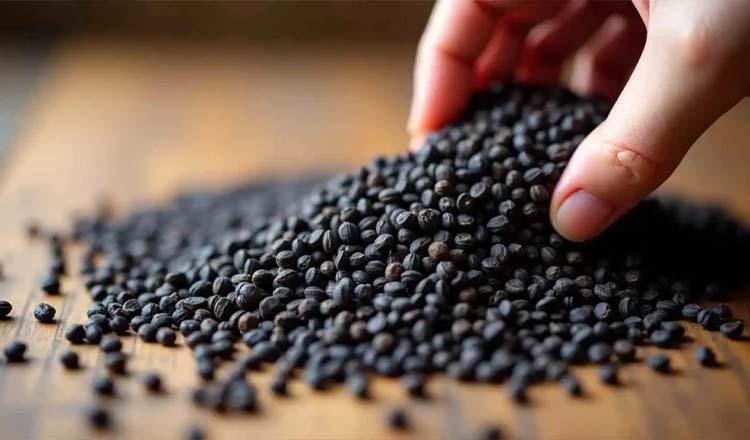 মহৌষধ কালোজিরার যত গুণ