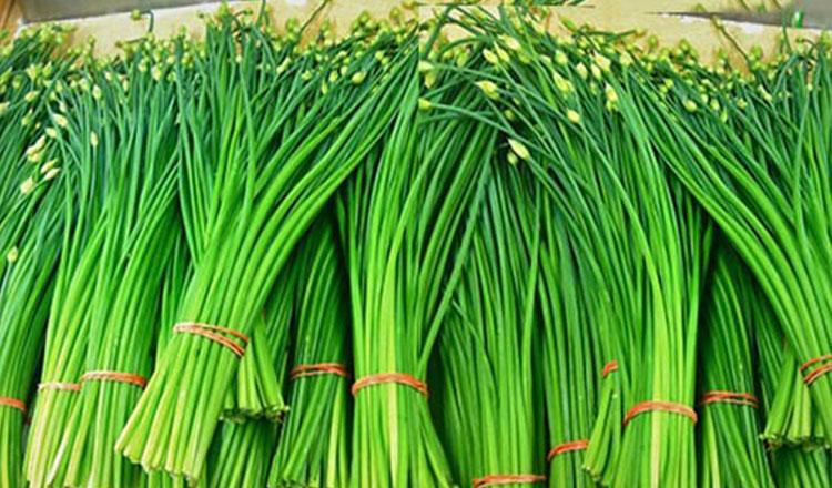 শীত কমায় হজমশক্তি বাড়ায় ‘পেঁয়াজ কলি’