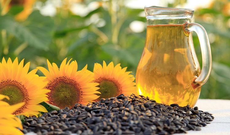 পুষ্টিগুণে তেলের রাজা সূর্যমুখীর তেল